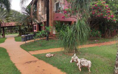 WhatsApp Image 2025-12-11 at 14.24.43