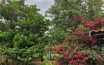 WhatsApp Image 2025-12-11 at 14.24.52